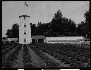 Exterior view of the Government Experiment Station, showing a greenhouse in Chico, ca.1910