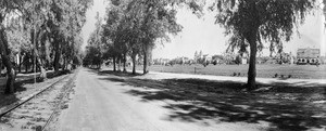 Railroad tracks running parallel to Magnolia Avenue in Riverside, ca.1900