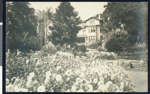Exterior view of flowers outside a Santa Barbara residence, ca.1920