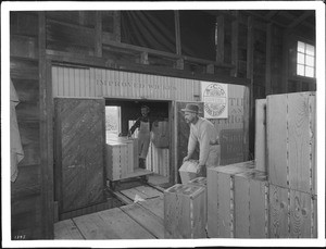 Packing oranges in a refrigerator car, Pomona (or Covina?), California