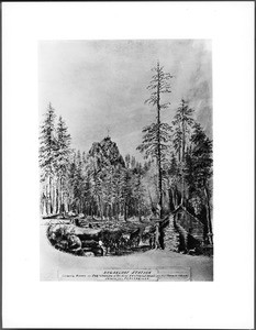 Drawing by Vischer of Sugarloaf Station, near Placerville, 1860-1865