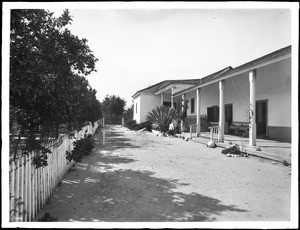 South veranda and orange orchard at Camulos Ranch, Ramona's home, ca.1895