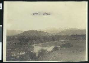 Panopamic view in the Redlands, ca.1900