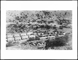 Two 20-mule teams each hauling 4 ore wagons, Pinal County, Arizona, ca.1900