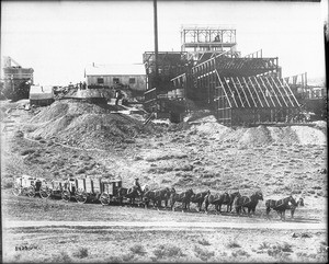 A team of 12 horses hauling three wagons full of ore, Goldfield, Nevada, ca.1905