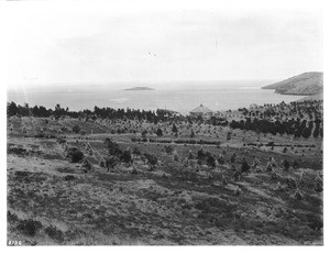 View of the Catalina Harbor Isthmus, showing Dr. White's house and Bird Island (Goat Island?), ca.1902