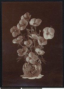 Specimen of (iceland?) poppies in a vase