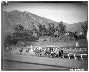 Horse racing in Santa Anita