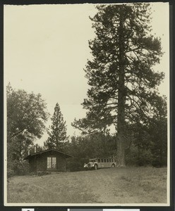 Motorbus parked under trees outside a wooden building, San Diego County, ca.1920