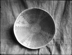 Indian basket displayed against a cloth backdrop, ca.1900