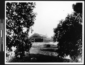 Exterior of a Sunkist processing plant, ca.1900