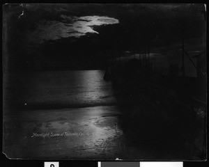 View of Redondo Beach in the moonlight, ca.1900