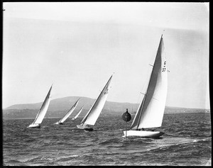 Yachts with a lighthouse in the distance, at Los Angeles Harbor