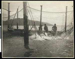 Trap fishing, Washington