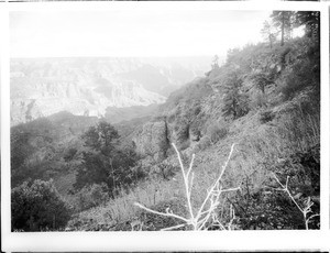 View of the Grand Canyon from near the Bright Angel Hotel, looking east, 1900-1930