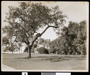 Side view of the exterior of Abbot Kinney's home, "Kinneloa", in Sierra Madre, ca.1905