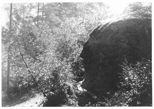 The "Indian Head" (or "Ben Butler Profile Rock"), a natural rock formation at Camp Markham, California, ca.1900-1930