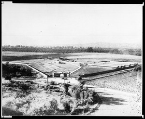 Birdseye view of the construction of the Los Angeles County Fair Grounds, showing rows of trees in the background, 1922