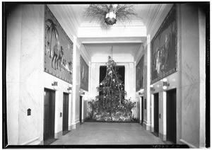 Christmas tree at the end of a hallway in the Chamber of Commerce, December 1933