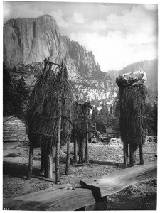 Paiute Indian acorn cache or granary in Yosemite Valley, Yosemite National Park, ca.1901