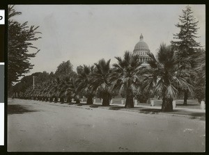 California State Capitol at Sacramento with palm trees in foreground, ca.1920