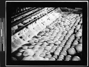 Packing crates of citrus, showing the cleaning of oranges, ca.1900