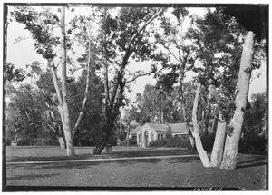 Exterior view of a building under sycamore trees at Sycamore Grove Park in Los Angeles