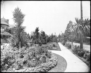 View along the sidewalk of Hollywood Boulevard, looking east from Whitley Avenue (two blocks west of Cahuenga), ca.1905