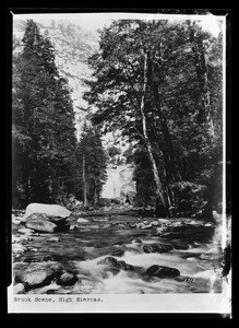 Brook Scene in the High Sierras