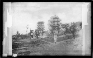 Indian pottery makers of Mexico carrying their wares to market, ca.1905