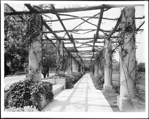 View from the under the pergola at the Maryland Hotel, Colorado Street, Pasadena, ca.1910