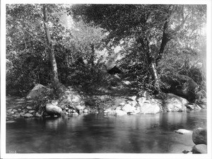 Creek on Tule River Indian Reservation, near Porterville, ca.1900