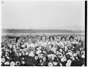 A group of women posing side by side in a sunflower field