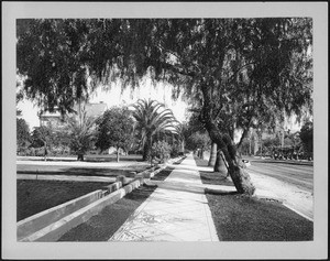 Figueroa Street north from 24th Street showing zanja ditches, 1908