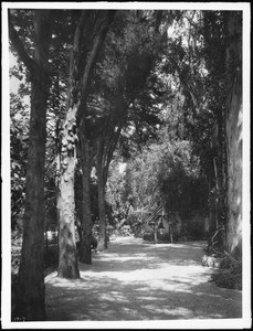 Hugo Reid Adobe and old mission bell at Rancho Santa Anita, ca.1900-1903