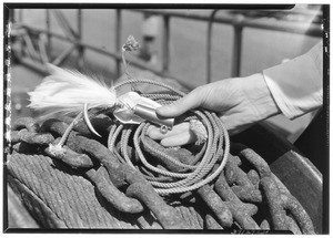 Close-up of a hook, rope and chain, ca.1920-1939