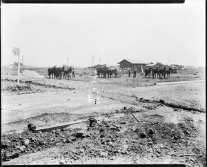 View of Ysidora Street at Belvedere Gardens in the Whittier Boulevard District, Whittier, ca.1924