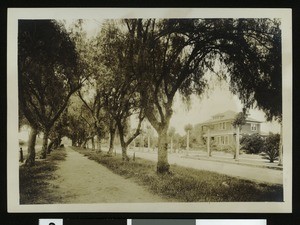 Exterior view of a house on a residential street in Redlands, ca.1900