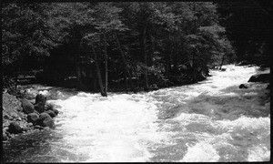 Wide river moving along a line of trees, showing rocky embankments on left and right, Yellowstone National Park, Wyoming