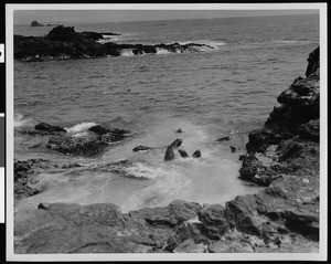 Sea lions swimming near rocks, ca.1900