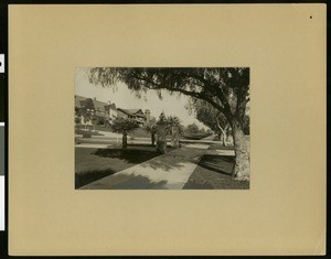 View of A. Busch and T. Lowe's houses along South Orange Grove Avenue in Pasadena, looking north, ca.1907