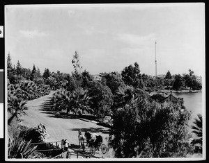 View of Westlake Park (later MacArthur Park), showing a horse and buggy, 1900