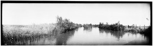 Panoramic view of grass growing near an irrigation canal in the Imperial Valley