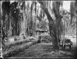 Log cabin at Rancho Santa Anita, ca.1900-1902