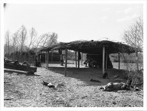 Chemehuevi Indian summer house, ca.1900