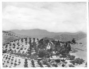 View of Hollywood, looking north from Beachwood Drive, 1910