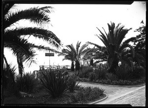 Top of the ninety-nine steps leading from the top of the Palisades Park to the beach in Santa Monica, ca.1910