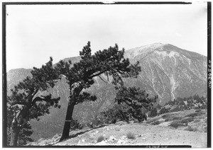 Mountainside near Big Pine Recreational Camp