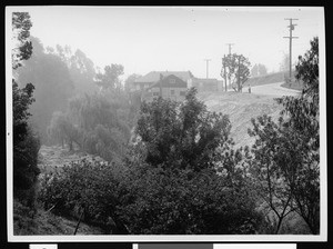 View of an unidentified ravine in Los Angeles