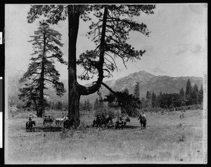 Families on horseback and in a carriage, ca.1880